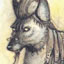 Krypter's Avatar